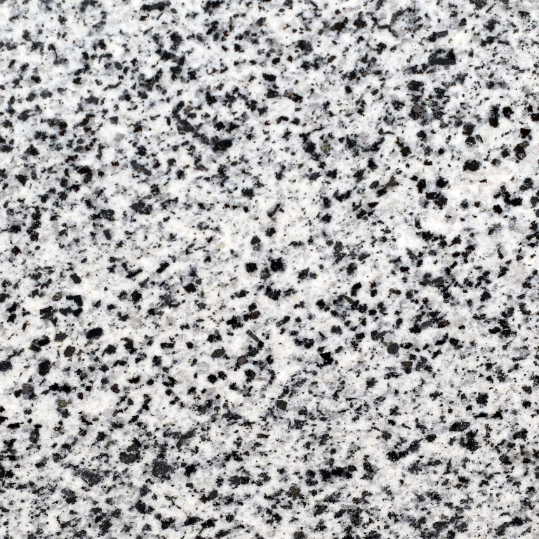 new halayeb small fossil