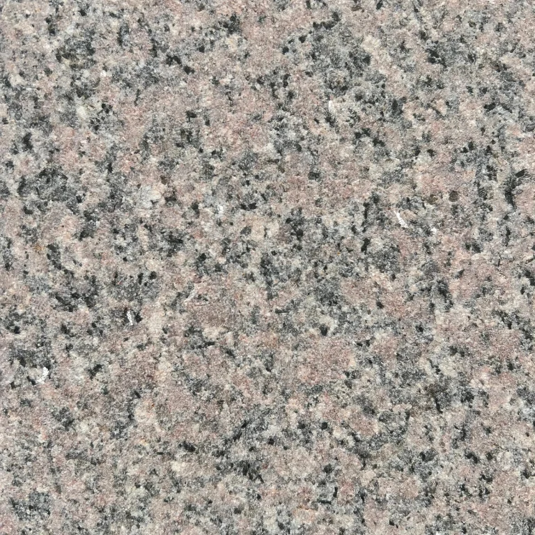 Rosa Hudi sand blast